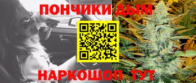 шишки Будённовск