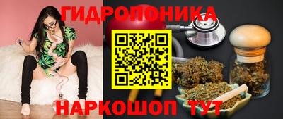 шишки Будённовск
