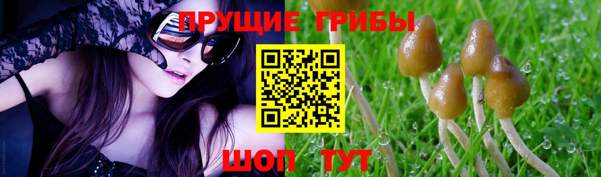 наркошоп  Галлюциногенные грибы Psilocybine cubensis  Вход с VPN  Кушва 